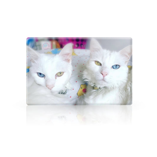 Raspador Stamping’Versary 6